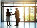 Working alongside the best. two businesspeople shaking hands in an office. Royalty Free Stock Photo