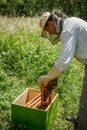 Working apiarist Royalty Free Stock Photo
