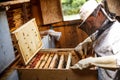 Working apiarist Royalty Free Stock Photo