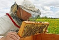 Working apiarist.