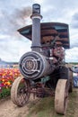 Working Aultman & Taylor steam tractor at Wooden Shoe tulip farm Royalty Free Stock Photo