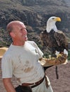 Working with a Bald Eagle Royalty Free Stock Photo