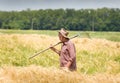 Working in barley field Royalty Free Stock Photo