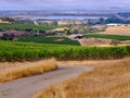 A Working Barn on Vineyard Royalty Free Stock Photo