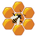 Working bee on honeycells, vector Royalty Free Stock Photo