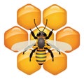 Working bee on honeycells, vector Royalty Free Stock Photo