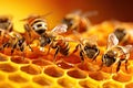 Working bee on honeycomb cells Royalty Free Stock Photo