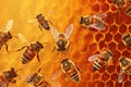 Working bee on honeycomb cells Royalty Free Stock Photo