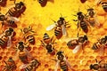 Working bee on honeycomb cells Royalty Free Stock Photo