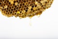 Working bees on honey cells, copyspace for text Royalty Free Stock Photo