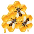 vector working bees on honeycells Royalty Free Stock Photo