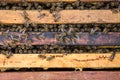 Working bees on honeycells Royalty Free Stock Photo