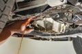 A working car mechanic drains a car`s engine oil to replace it with a new one Royalty Free Stock Photo