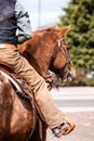 Working cowboy in the American West riding