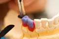 Working dental technician Royalty Free Stock Photo
