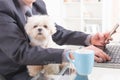 Working with dog in the office Royalty Free Stock Photo