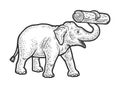Working elephant with log in its trunk sketch Royalty Free Stock Photo