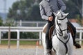 Working equitation horse close up Royalty Free Stock Photo
