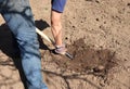 Working farmer in the garden. Organic fertilizer for manuring soil, preparing field for planting in spring, bio farming Royalty Free Stock Photo