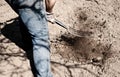 Working farmer in the garden. Organic fertilizer for manuring soil, preparing field for planting in spring, bio farming Royalty Free Stock Photo