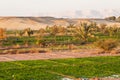 Working on the fields at Dahla oasis Royalty Free Stock Photo