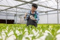 Working at a greenhouse nursery, Agronomic business concept In the greenhouse, an elderly man is working. In the hydrofarm