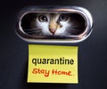 Working from home; covid-19 quarantine concept; Scared kitten locked quarantined in his house