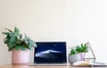 Working from home with house plants