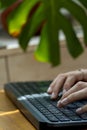 Working at home with laptop woman writing a blog. Female hands on the keyboard Royalty Free Stock Photo