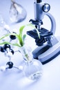 Working in a laboratory and plants Royalty Free Stock Photo