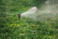 Working lawn sprinkler spraying water over green grass Royalty Free Stock Photo