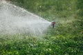 Working lawn sprinkler spraying water over green grass Royalty Free Stock Photo