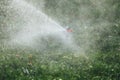 Working lawn sprinkler spraying water over green grass Royalty Free Stock Photo