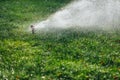 Working lawn sprinkler spraying water over green grass Royalty Free Stock Photo