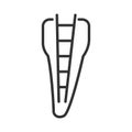 Working length and width during the root canal. Dental canal ruler . Abstract vector illustration linear icon.