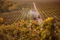 Working machines on the field grape Royalty Free Stock Photo