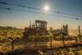 Working machines on the grape field agriculture Royalty Free Stock Photo