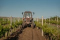 Working machines on the grape field agriculture Royalty Free Stock Photo