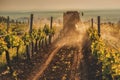 Working machines on the grape field nature Royalty Free Stock Photo
