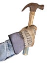 Working Man, Handyman Hand Holding Hammer Isolated Royalty Free Stock Photo