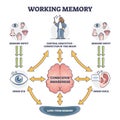 Working memory and conscious awareness, outline diagram vector illustration