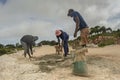 Working Men Mixing Cement Mortar Royalty Free Stock Photo