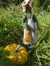 Working Mouse Mother With a Pumpkin