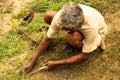 Working old man cutting grass in rural North Eastern India