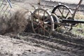 Working old-time potato grubber harvesting potatoes