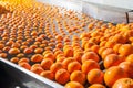 The working of orange fruits