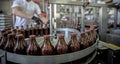 The working process of production of tomatoes to canned food and vegetable factory Royalty Free Stock Photo