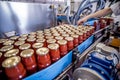 The working process of production of tomatoes to canned food and vegetable factory. Royalty Free Stock Photo