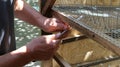 working with a screwdriver during the production of a quail cage