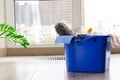 Working set of a cleaning company. Cleaning tools and tools Royalty Free Stock Photo
